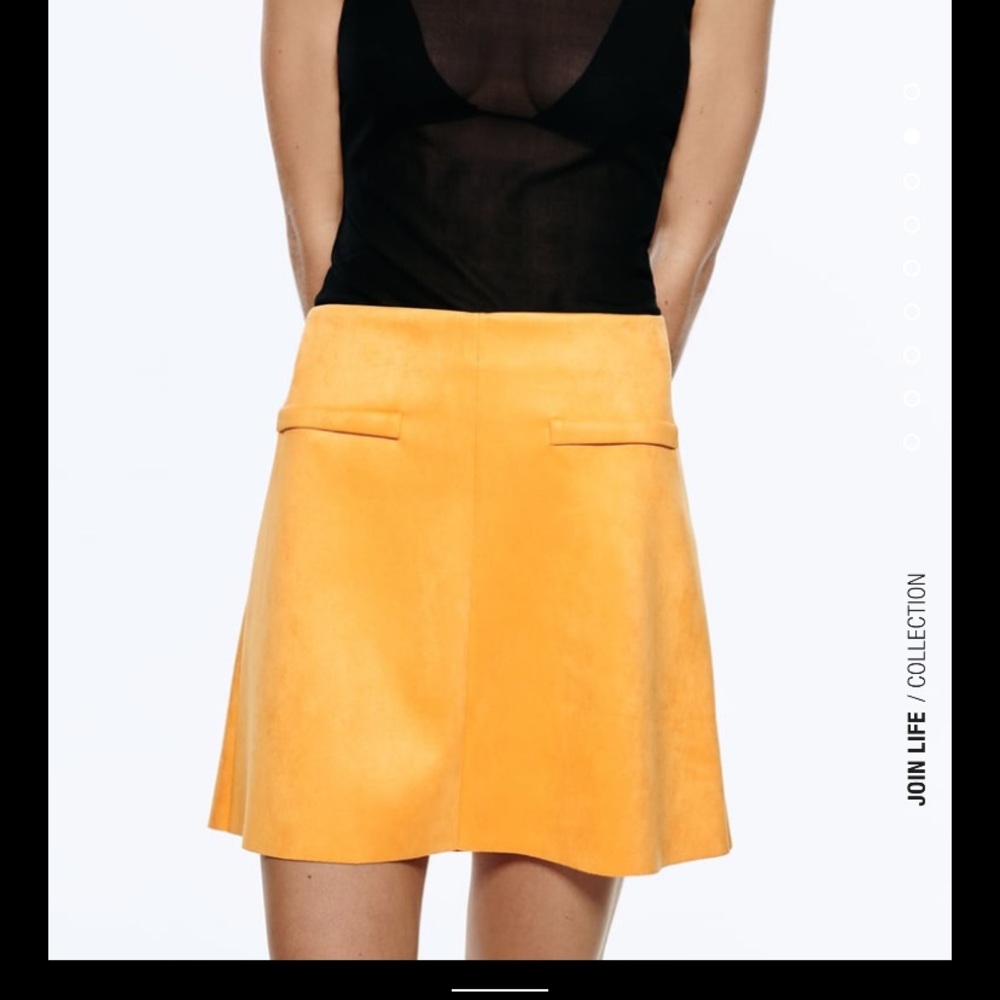 Zara xs skirt